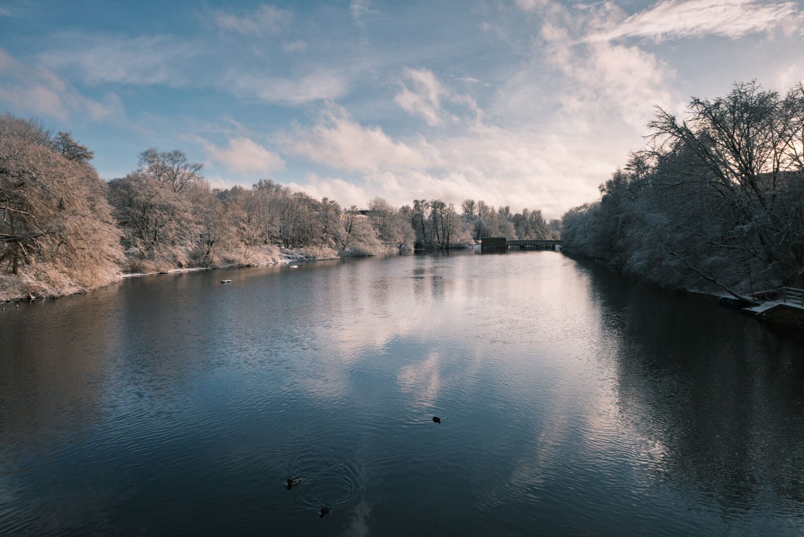 DE: Blick auf eine Wasserfläche mit schneebedeckten Bäumen am Rand. Im Hintergrund erkennt man eine Schleuse. Der Himmel ist blau und bewölkt.

EN: View of a body of water with snow-covered trees at the edge. A lock can be seen in the background. The sky is blue and cloudy.